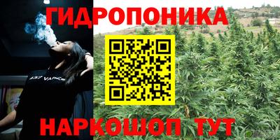 меф Сланцы