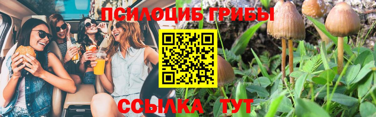 Отрадный  Галлюциногенные грибы Psilocybine cubensis  Вход с VPN 